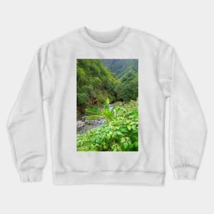 Iao Valley State Monument Study 10 Crewneck Sweatshirt